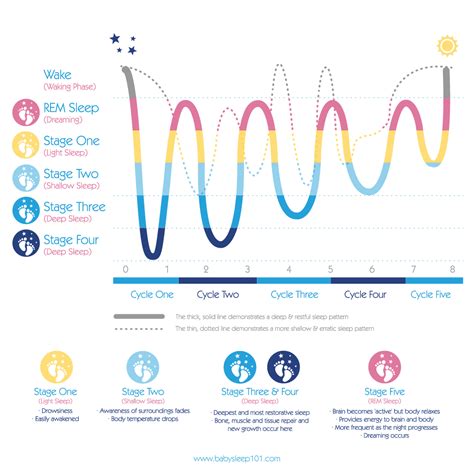 baby sleep cycle chart.